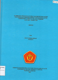 Image of Gambaran penggunaan obat Gastritis pada pasien Gastritis di Puskesmas rawat inap Banjar Agung Kabupaten Lampung Selatan periode Januari-Maret 2021